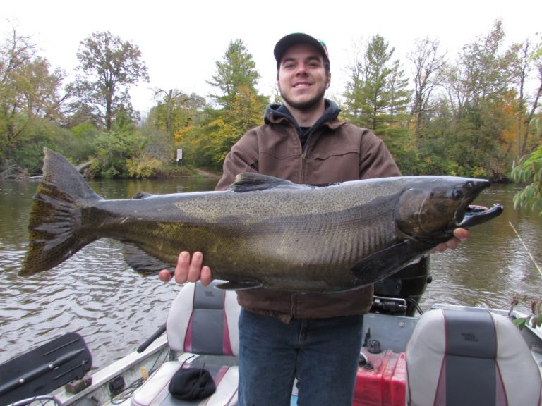 Muskegon River fishing 10/12/18 Lake Michigan Salmon, Steelhead